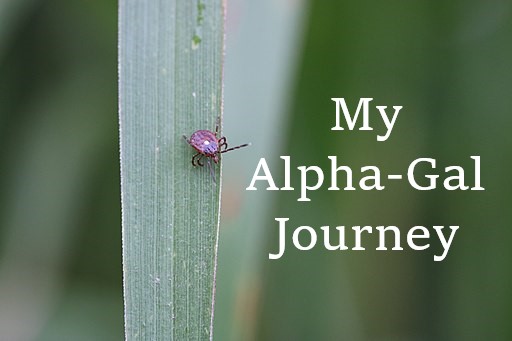 My Alpha-Gal Journey – Part I